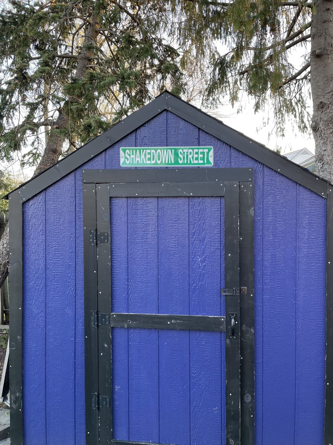Customer photo review of Grateful Dead Shakedown Street Sign