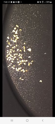 Customer photo review of '150 GRAM GOLD HUNT' - ELITE Gold Paydirt Panning Concentrates