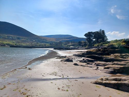 Customer photo review of Peanut Choc Chip Protein Bar