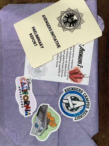 Customer photo review of Heroes Campus Sticker Pack