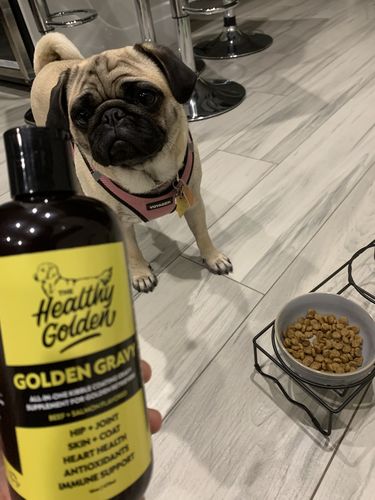 Customer photo review of Golden Gravy