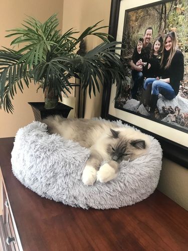 Customer photo review of Extra Puha Mosható Plüss Kisállat Fekhely