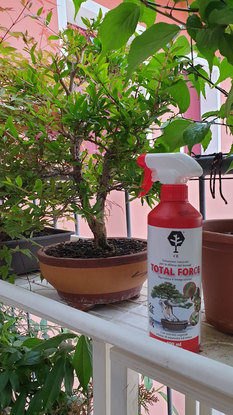 Customer photo review of TOTAL FORCE CB® X3