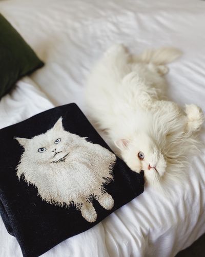 Customer photo review of Full-Body Pet Custom Sweater