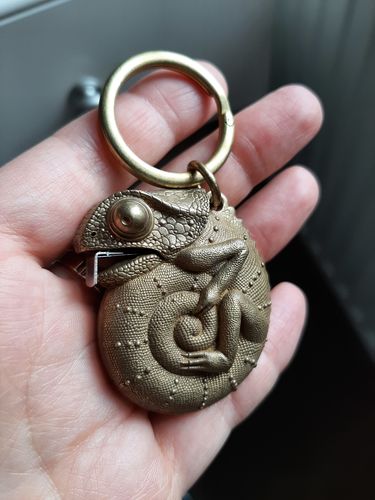 Customer photo review of Chameleon Tape Measure | Brass