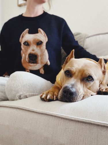 Customer photo review of Full-Body Pet Custom Sweater