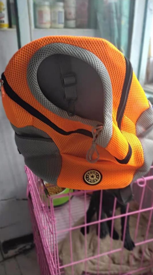 Customer photo review of Dog Backpack