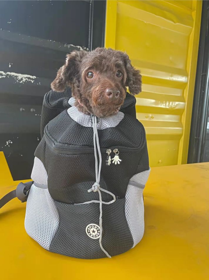 Customer photo review of Dog Backpack