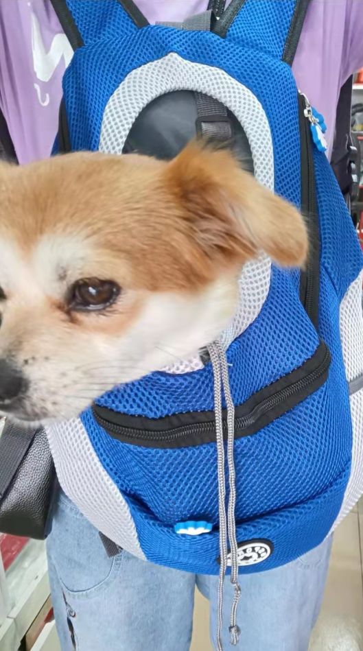 Customer photo review of Dog Backpack