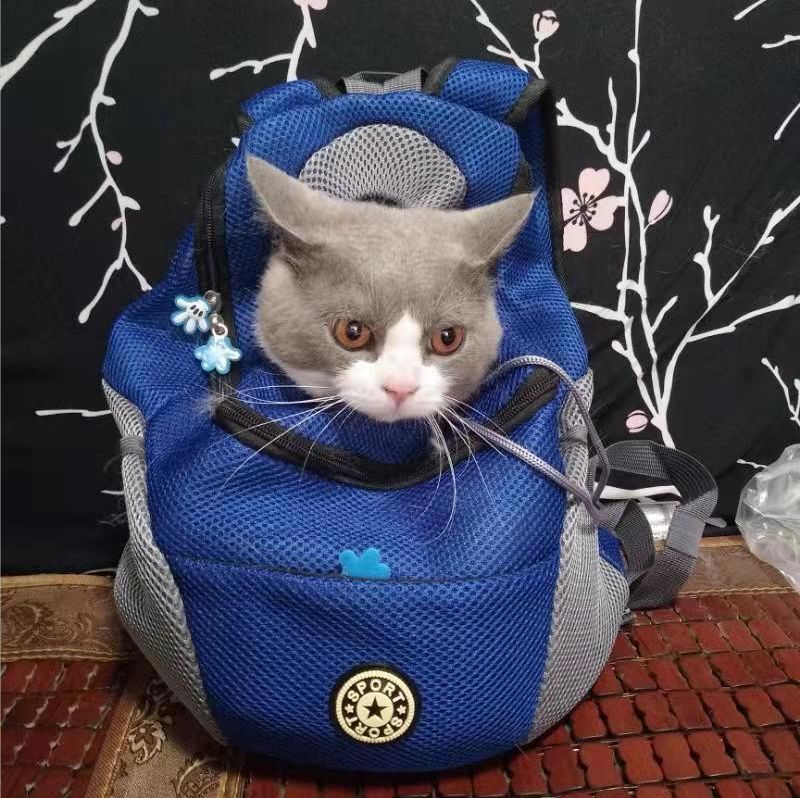 Customer photo review of Dog Backpack