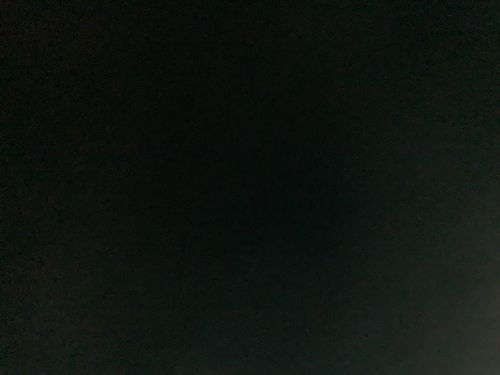 Customer photo review of Orchideen Überraschung + Übertöpfe