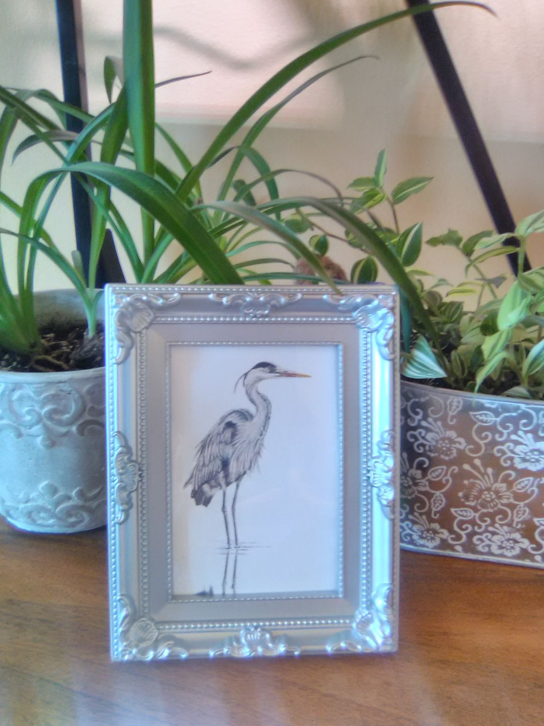 Customer photo review of Majestic Moose