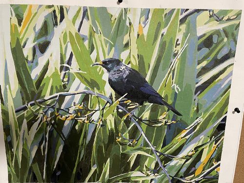 Customer photo review of Tui in Flax Bush