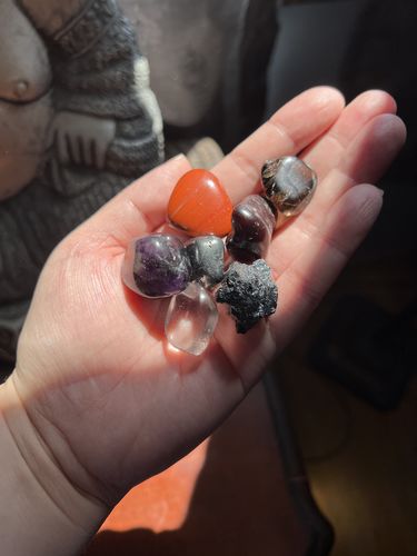 Customer photo review of The PROTECTION Set
