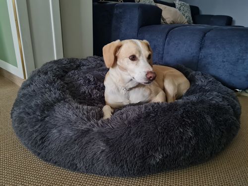 Customer photo review of Puppery Kuschelbett - Das Original
