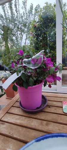 Customer photo review of Mon petit oiseau - Le Jardin de Mamie®