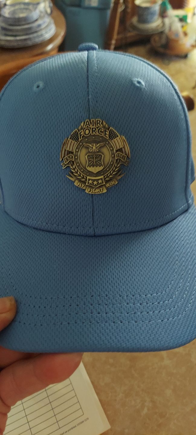Customer photo review of US Air Force Veteran's Day Pin