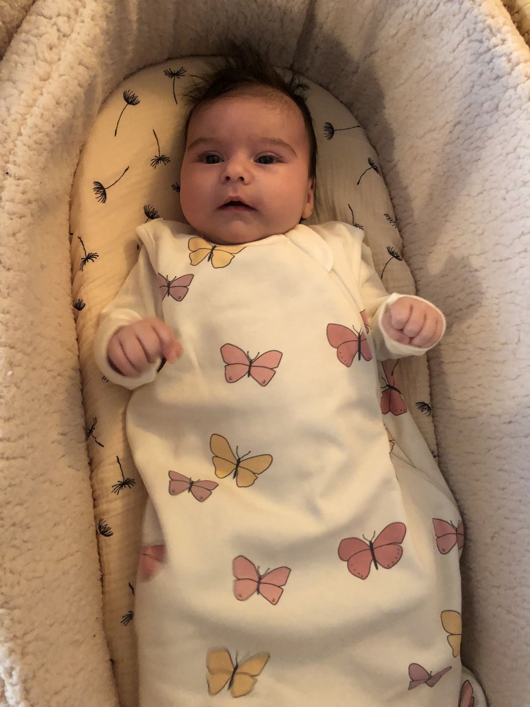 Customer photo review of 4 Season® Classic Baby Sleeping Bag, Merino Wool & Organic Cotton, Butterfly