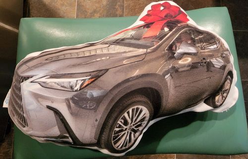 Customer photo review of Create A Custom Object Pillow