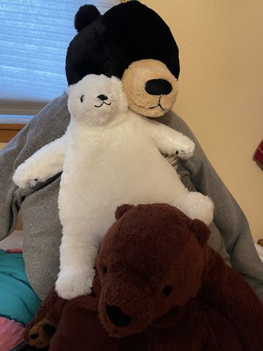 Customer photo review of SKOGGY BEAR