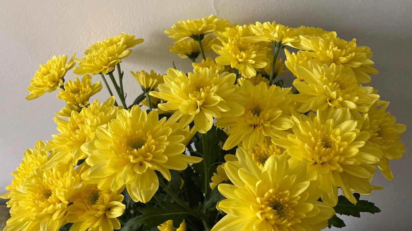Customer photo review of Subscribe to Cut Flowers - Basic