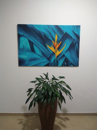 Customer photo review of 092