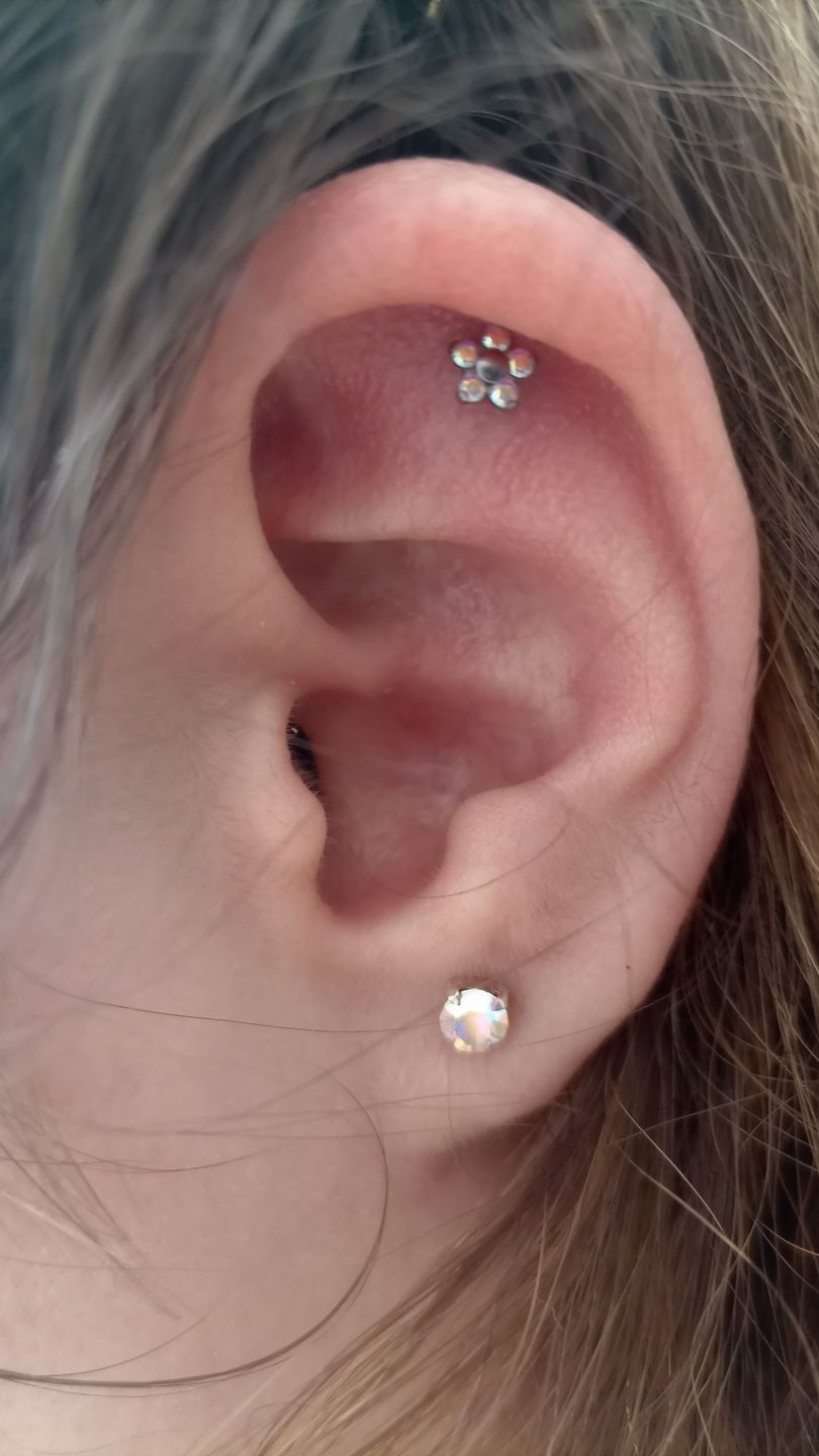 Customer photo review of Junipurr Titanium Flatback Labret Threadless