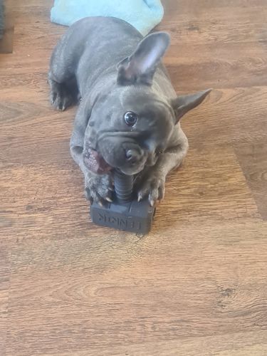 Customer photo review of The Fenrir Hammer