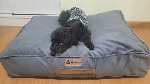 Customer photo review of Cama Para Perro Modelo Origen Kuapets Gris
