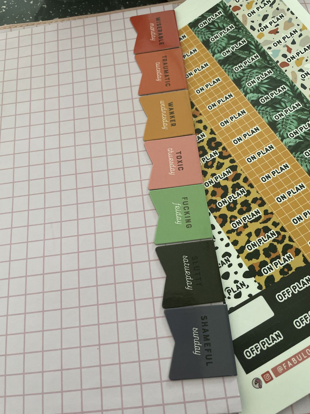 Customer photo review of Explicit Daily Bookmarks Pack