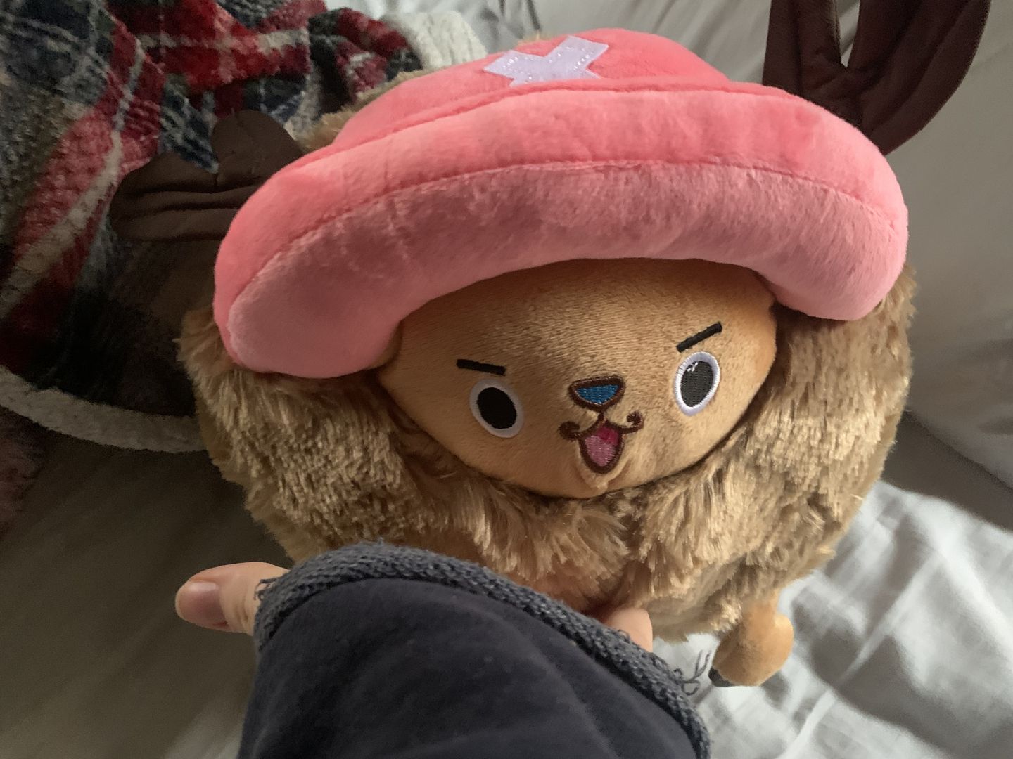 Customer photo review of Chopper Guard Point - Plush Doll