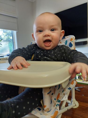 Customer photo review of Charlie baby chair