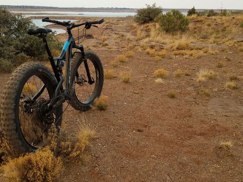 Customer photo review of Montana Carbon - Fat 27.5"