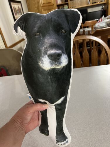 Customer photo review of Create A Custom Dog Pillow