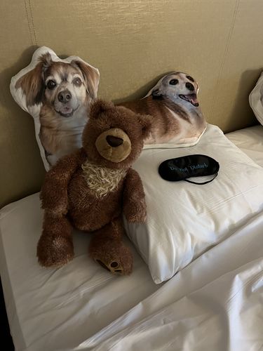 Customer photo review of Create A Custom Dog Pillow