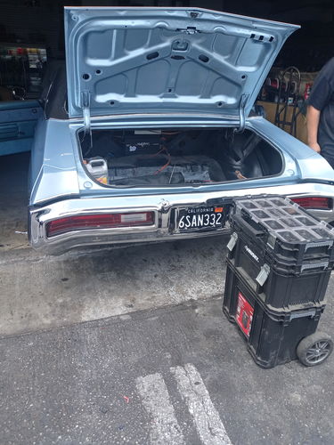 Customer photo review of CALIFORNIA LICENSE PLATE 6"x12" (156.5mm x 305mm)