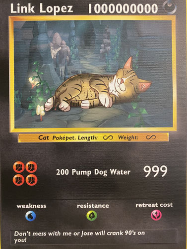 Customer photo review of Pokepet