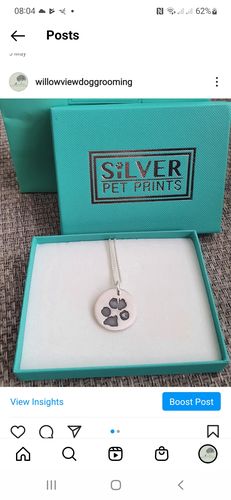 Customer photo review of Paw print necklace - fine silver link chain