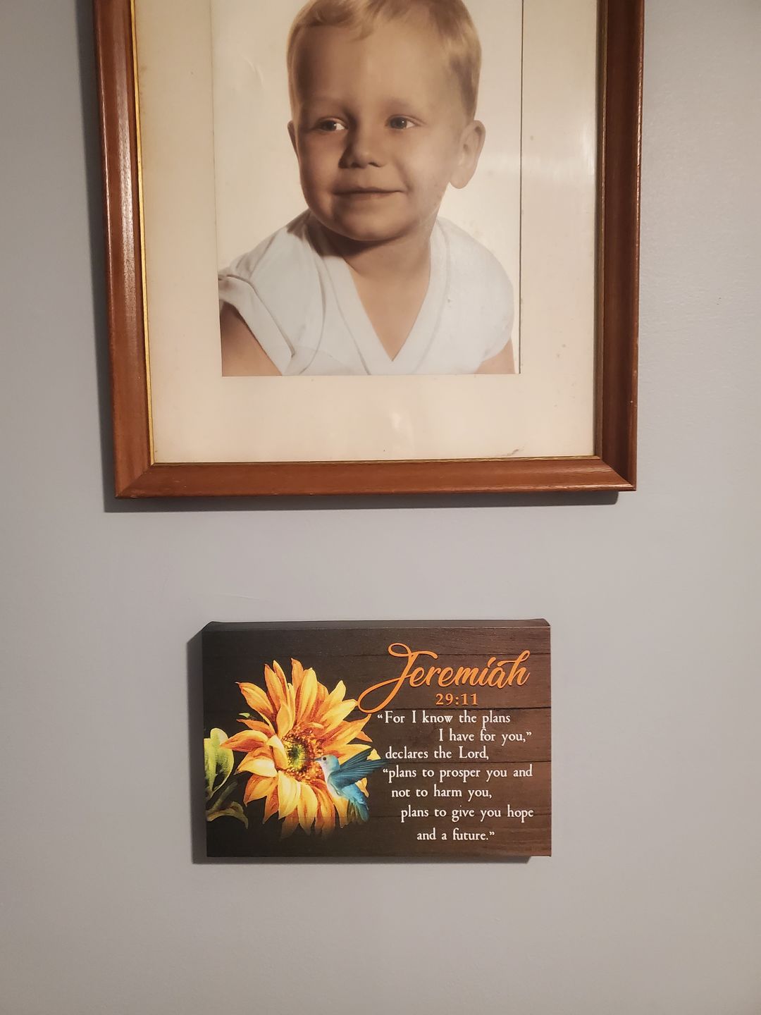 Customer photo review of Jeremiah 29:11 for I Know the Plans I Have for You, Hummingbird Sunflower, Wall Art Canvas