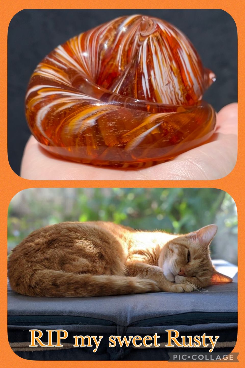 Customer photo review of Half-tone Sleeping Glass Cat with Infused Cremation Ashes