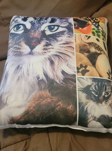 Customer photo review of Create A Custom Anything Pillow