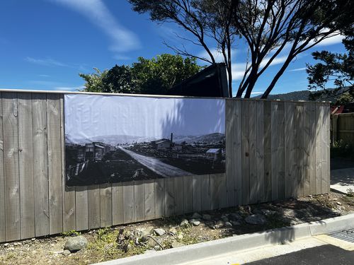 Customer photo review of Print Your Own Mural - So Many Options