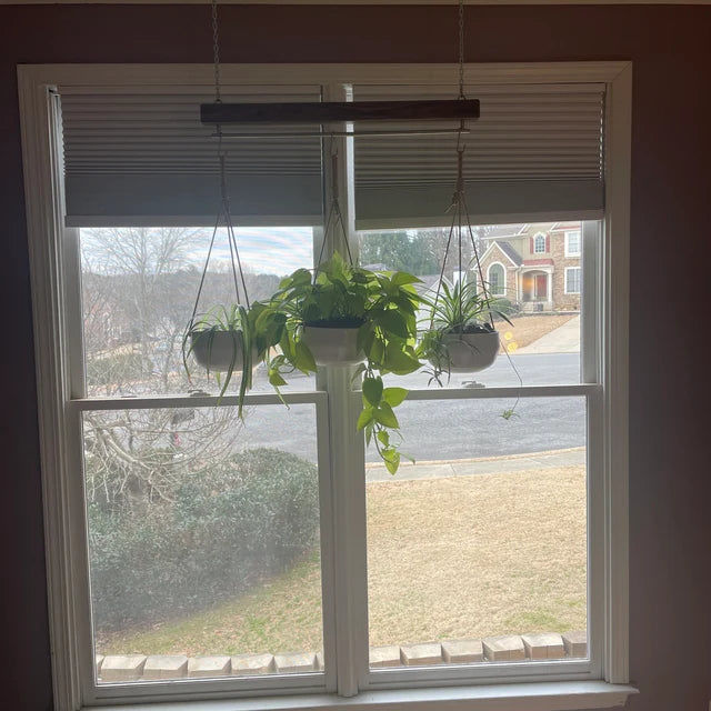 Customer photo review of Slim James Hanging Rack - Solid Hardwood