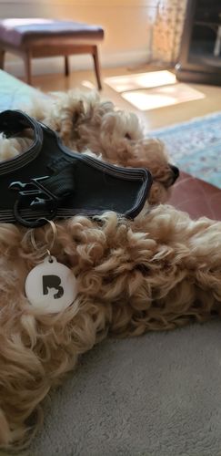 Customer photo review of White