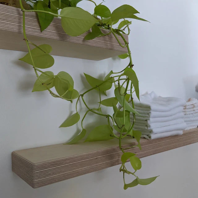 Customer photo review of Baltic Birch Plywood Floating Shelf