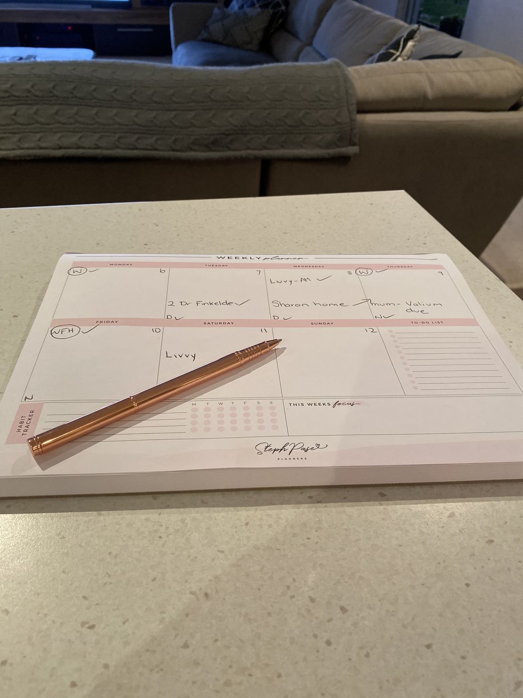 Customer photo review of Weekly Desktop Planner