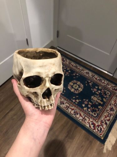 Customer photo review of Just Love Skulls Head Pot