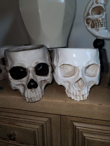 Customer photo review of Just Love Skulls Head Pot
