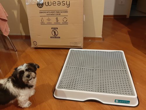 Customer photo review of Weasy Cão