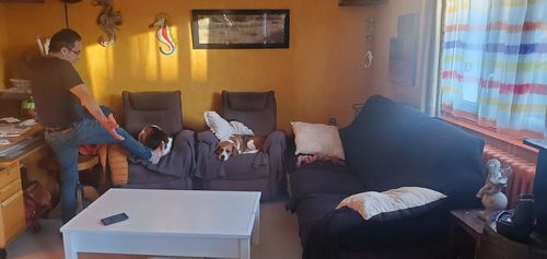 Customer photo review of Marron - Housses 100% Waterproof et Ultra résistantes Extensibles de Fauteuil et Canapé